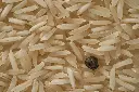 unsplash_Fo0Hc5IZsjg_rice.jpg.webp