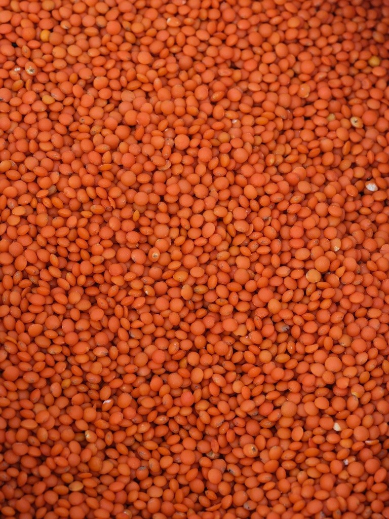 Masur Dal