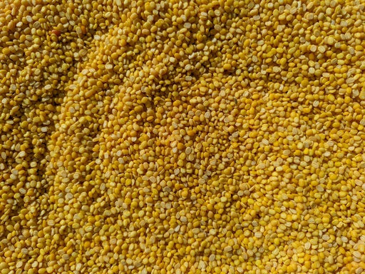 [1kg] Toor Dal